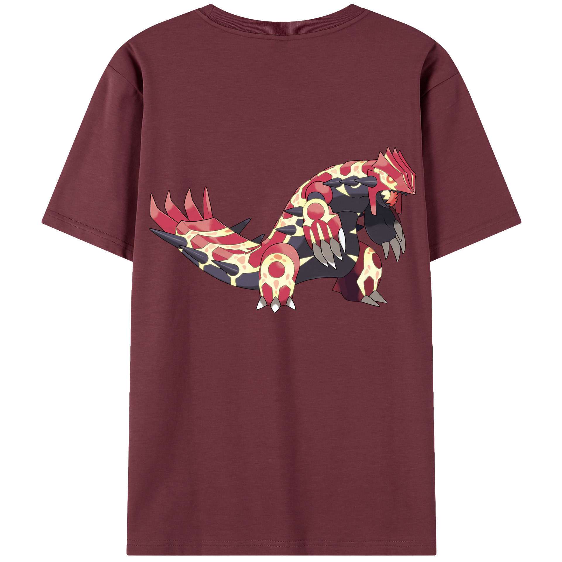 （画像用） ポケットモンスター Pokémon 綿100％半袖Tシャツ（背面プリント）